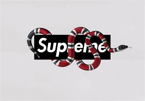 supreme collab with gucci